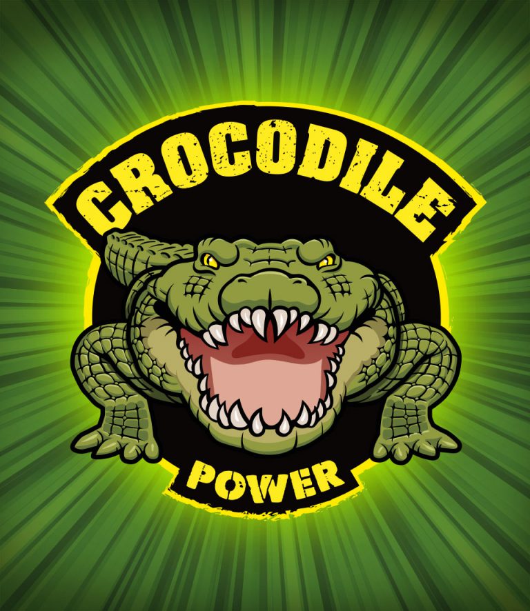 brandcouture Pattex Crocodile power